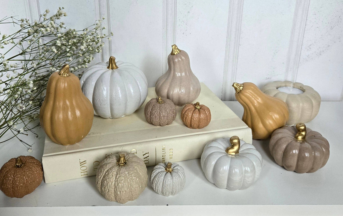 Gourds Decor- Butternut: C