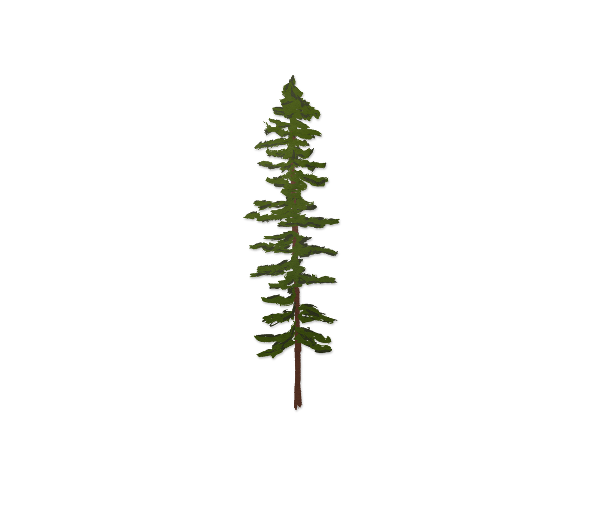 Sitka Tree Sticker