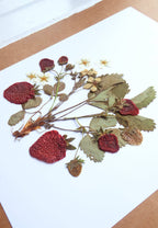 Strawberry Plant Pressed Flower Print