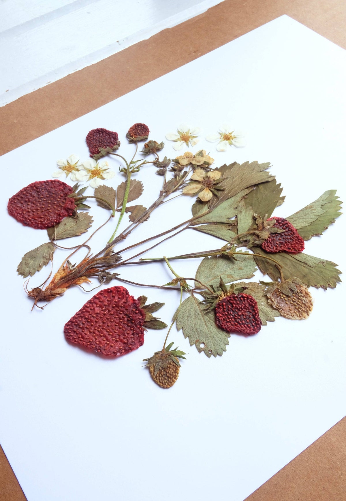 Strawberry Plant Pressed Flower Print