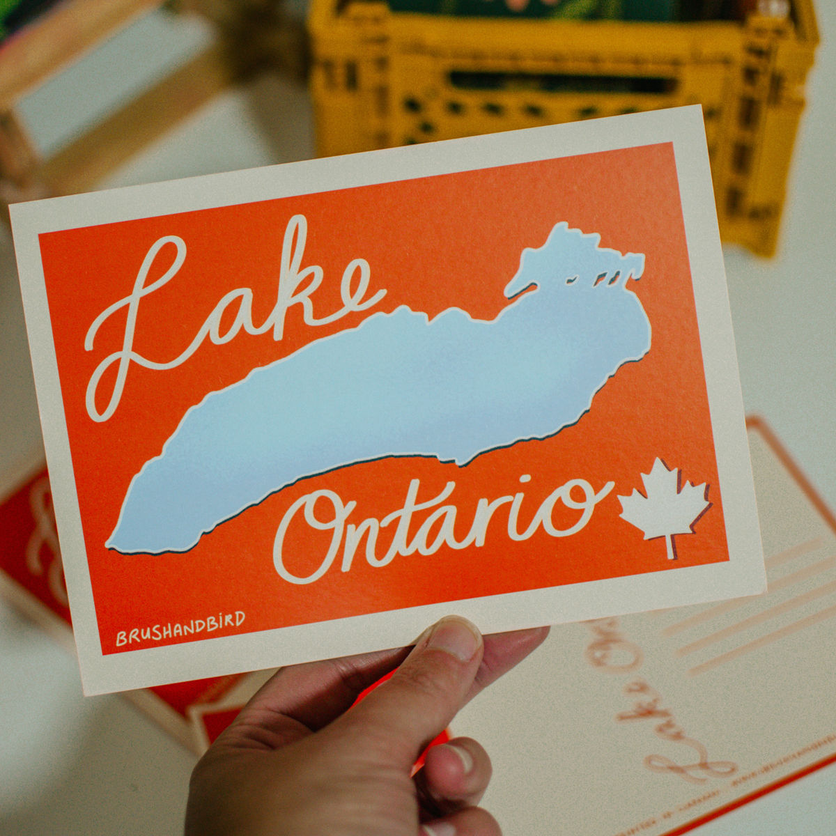 Lake Ontario Postcard | Canada Great Lakes Souvenir 5x7 Postcard