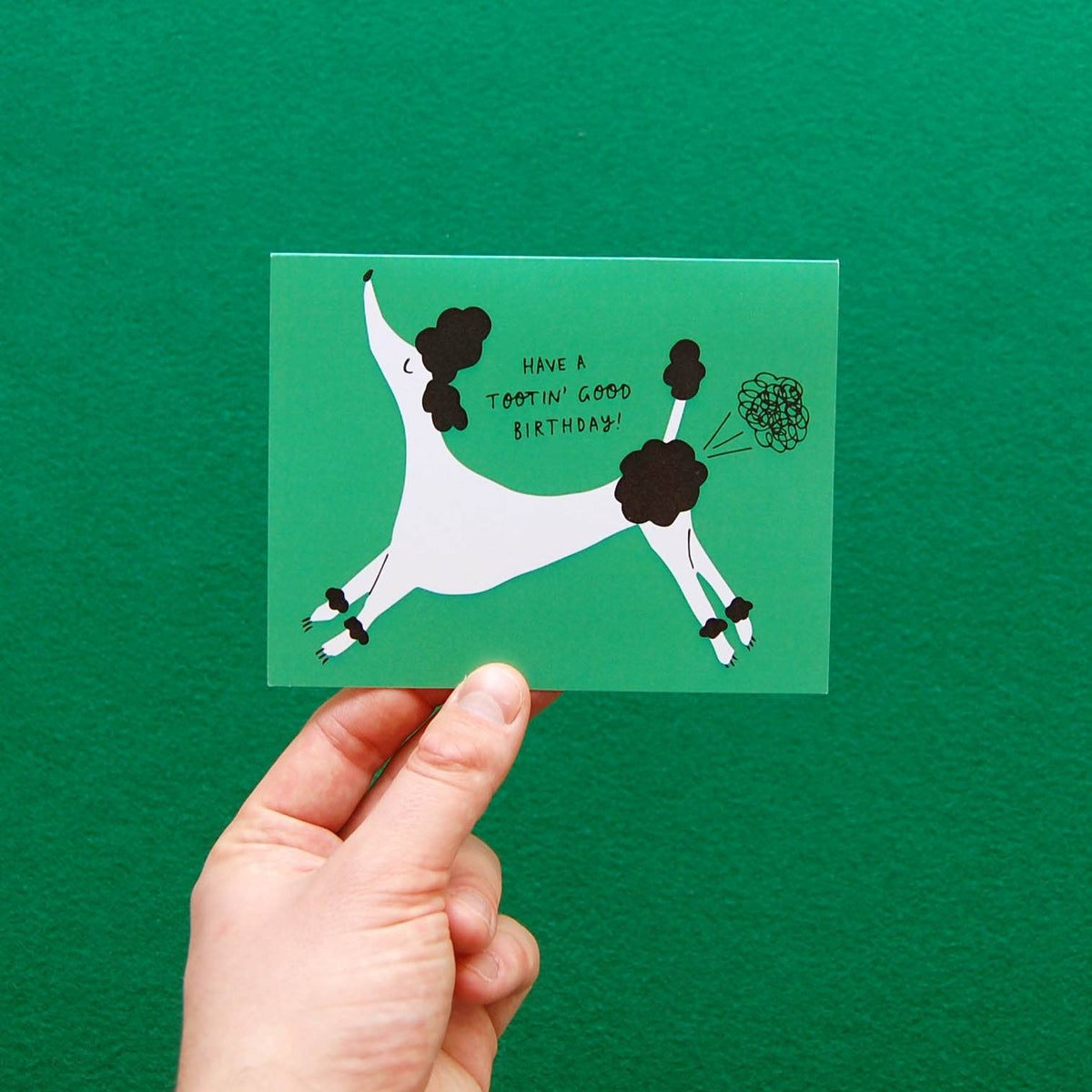 Birthday Toots - Greeting Card