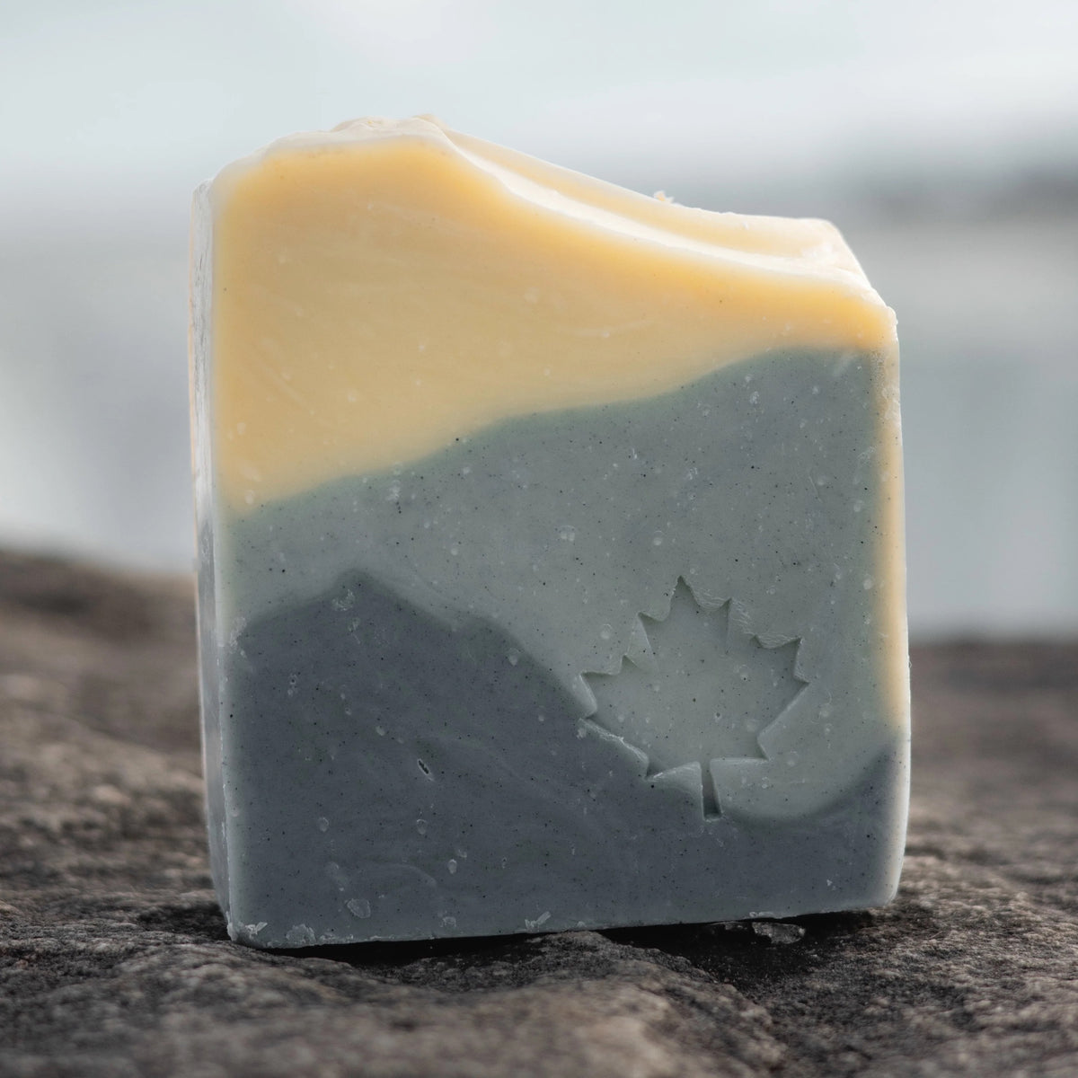 Niagara Mist Aloe Plant Based Soap Bar