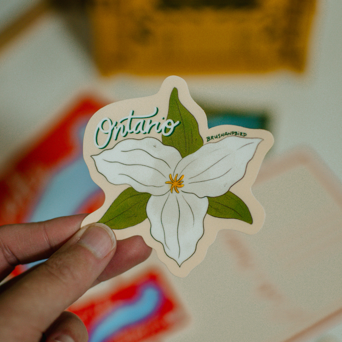 Brush & Bird Paper Co. - Ontario Trillium Sticker | Provincial Flower Vinyl Decal