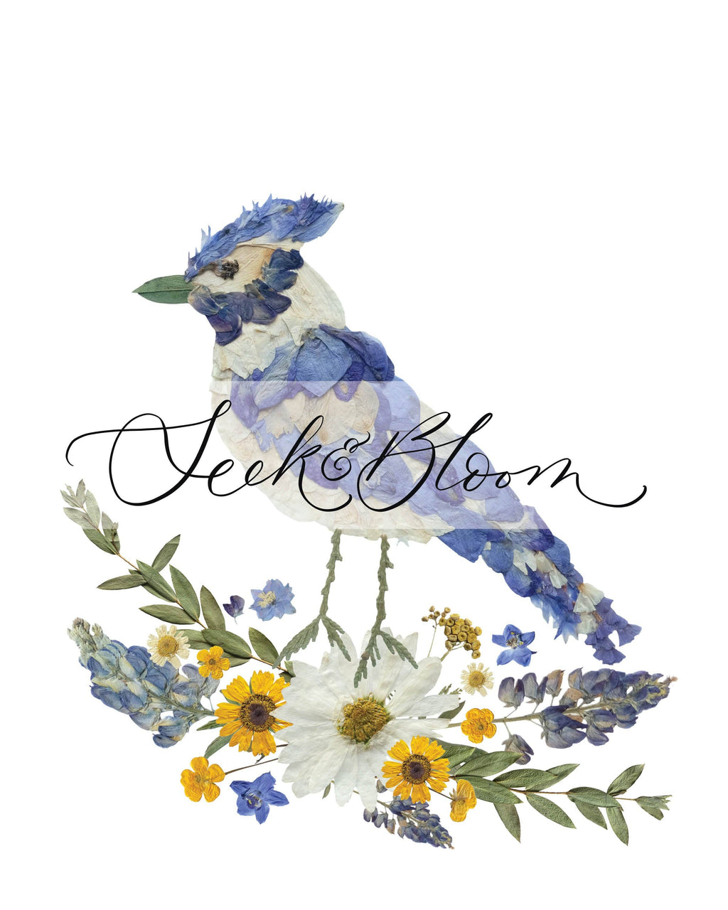 Seek & Bloom Creative Co. - Blue Jay Pressed Flower Print