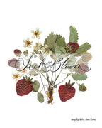 Strawberry Plant Pressed Flower Print