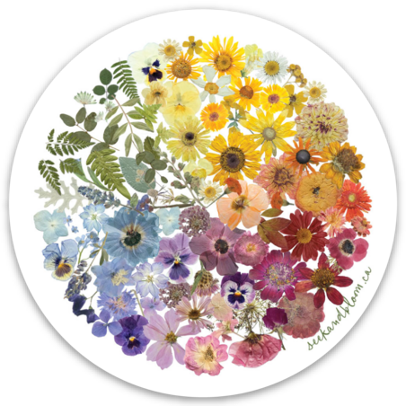 Floral Art Colour Wheel Sticker