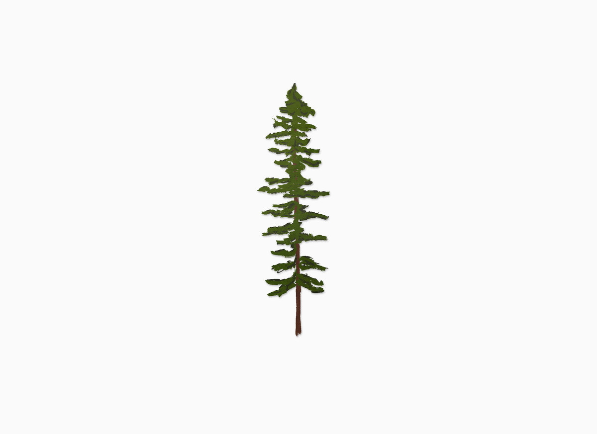 Sitka Tree Sticker
