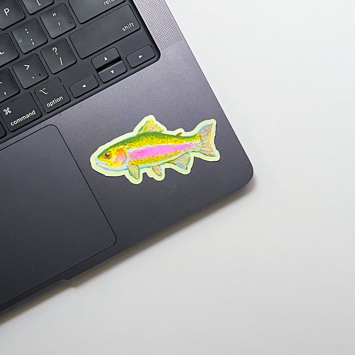 Janine Payne Illustrations - Rainbow Trout Sticker