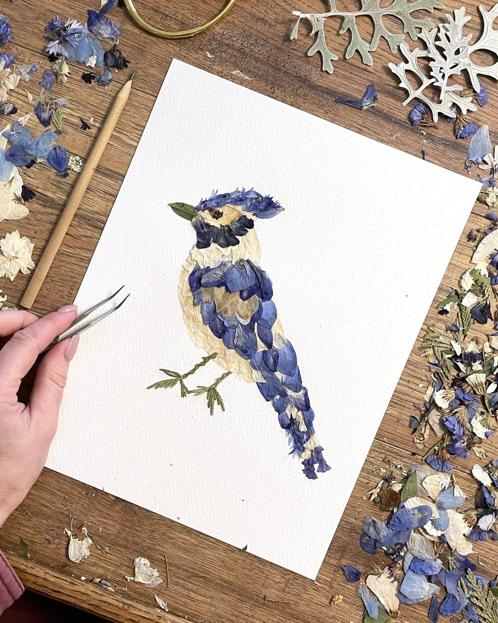 Seek & Bloom Creative Co. - Blue Jay Pressed Flower Print