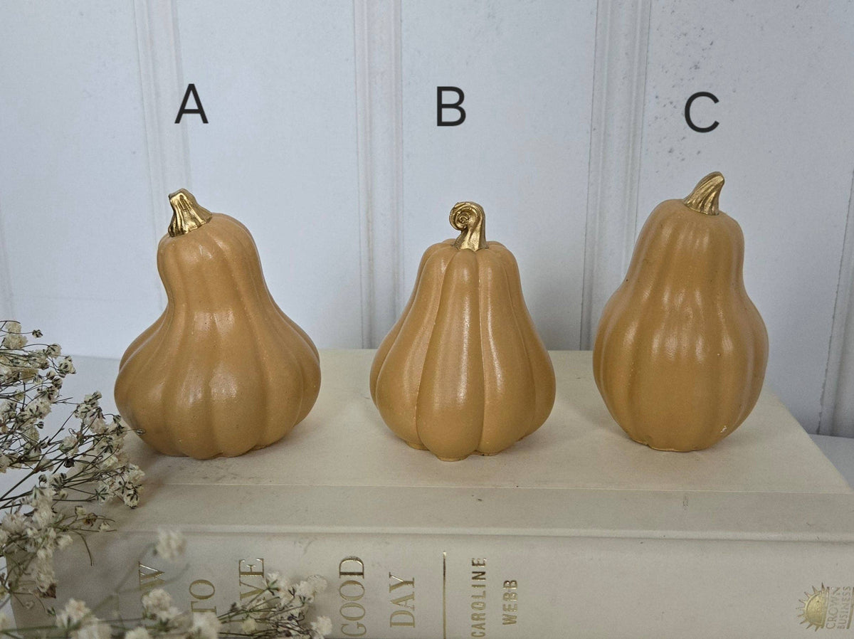 Gourds Decor- Butternut: C